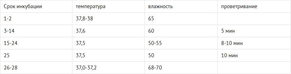 Схема инкубации индюшиных яиц в домашних условиях